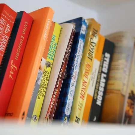 Cal Rei Gran Villa *