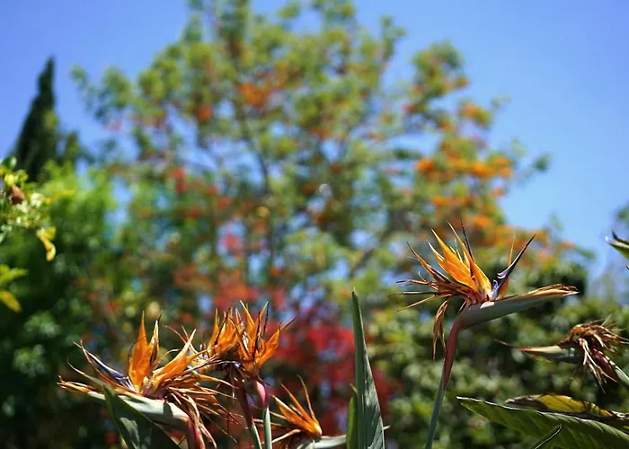 Cal Rei Gran By Balearic * Pollença